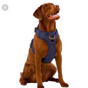 Top Paw Harness Adjustable Comfort Blue NWT
Dog X-Small